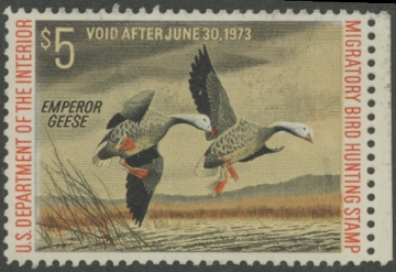 Picture of RW39 1972 Duck Stamp  Unsigned, NG VF