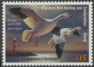 Picture of RW70 2003 Duck Stamp  MNH VF