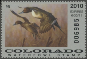 Scan of 2010 Colorado Duck Stamp MNH VF