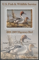 Scan of RW75B 2008 Duck Stamp  MNH VF