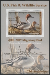 Scan of RW75B 2008 Duck Stamp  MNH VF