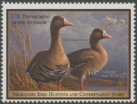 Scan of RW78 2011 Duck Stamp  MNH F-VF