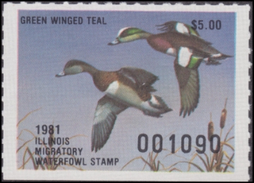 Scan of 1981 Illinois Duck Stamp ERROR M DG VF