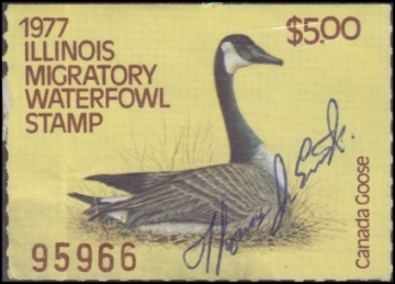 Scan of 1977 Illinois Duck Stamp Used F-VF