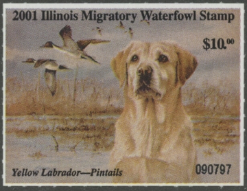 Scan of 2001 Illinois Duck Stamp MNH VF