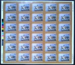 Scan of JDS15 2007 Junior Duck Stamp Full Sheet MNH VF