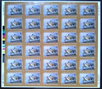 Scan of JDS15 2007 Junior Duck Stamp Full Sheet MNH VF