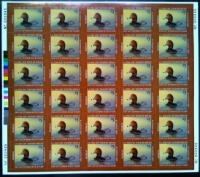 Scan of JDS14 2006 Junior Duck Stamp Full Sheet MNH VF