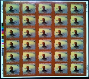 Scan of JDS14 2006 Junior Duck Stamp Full Sheet MNH VF