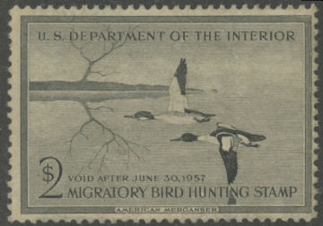 Scan of RW23 1956 Duck Stamp  Unsigned F-VF