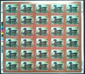 Scan of JDS17 2009 Junior Duck Stamp  MNH VF