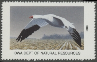 Scan of 2001 Iowa Duck Stamp MNH VF