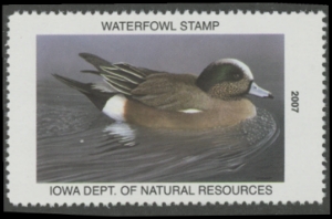 Scan of 2007 Iowa Duck Stamp MNH VF