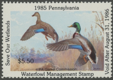 Scan of 1985 Pennsylvania Duck Stamp MNH VF