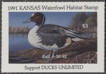 Scan of 1991 Kansas Duck Stamp MNH VF