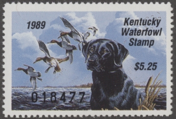 Picture of 1989 Kentucky Duck Stamp MNH VF