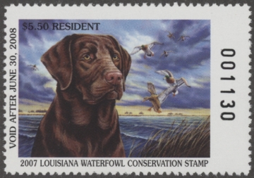 Picture of 2007 Louisiana Duck Stamp MNH VF