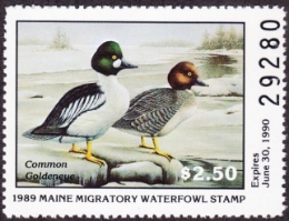 Scan of 1989 Maine Duck Stamp MNH VF