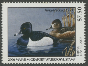 Picture of 2006 Maine Duck Stamp MNH VF
