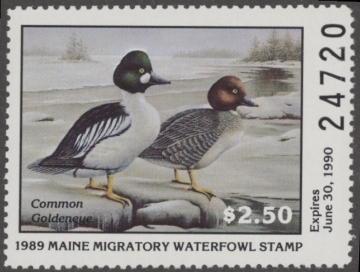 Scan of 1989 Maine Duck Stamp MNH VF