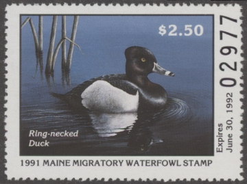 Scan of 1991 Maine Duck Stamp MNH VF