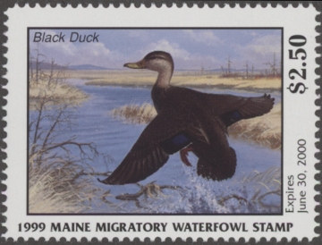 Scan of 1999 Maine Duck Stamp MNH VF