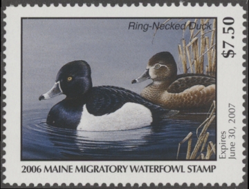 Scan of 2006 Maine Duck Stamp MNH VF