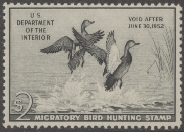 Scan of RW18 1951 Duck Stamp  MNH F-VF