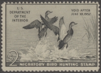 Scan of RW18 1951 Duck Stamp  MNH Fine