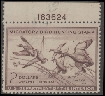 Scan of RW20 1953 Duck Stamp  Unsigned F-VF