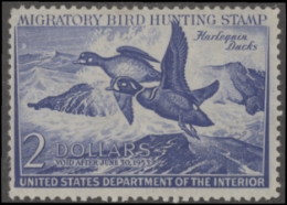 Scan of RW19 1952 Duck Stamp Faults  Unsigned F-VF