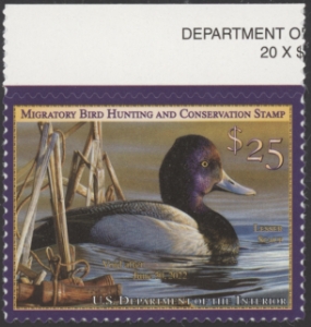 Scan of RW88 2021 Duck Stamp  MNH VF - XF