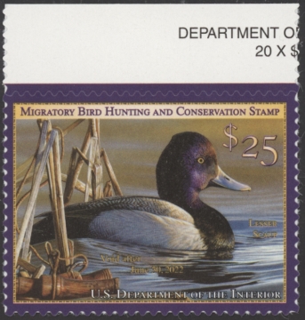 Picture of RW88 2021 Duck Stamp  MNH VF - XF