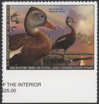 Picture of RW87 2020 Duck Stamp  MNH F-VF
