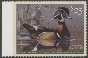 Picture of RW86 2019 Duck Stamp  MNH VF