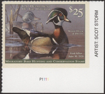 Picture of RW86 2019 Duck Stamp  MNH VF