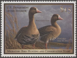 Scan of RW78 2011 Duck Stamp  MNH VF