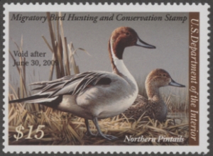 Scan of RW75 2008 Duck Stamp  MNH F-VF