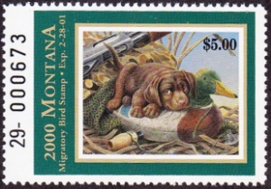 Scan of 2000 Montana Duck Stamp MNH VF