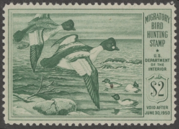 Scan of RW16 1949 Duck Stamp  MNH F-VF