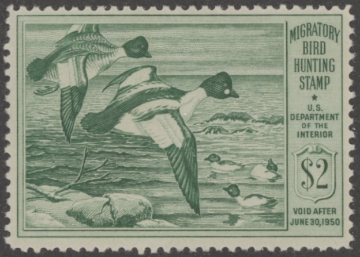 Scan of RW16 1949 Duck Stamp  MNH F-VF