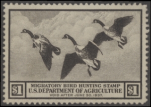 Scan of RW3 1936 Duck Stamp  Unsigned F-VF