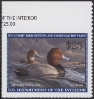 Scan of RW89 2022 Duck Stamp  MNH VF
