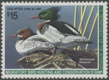 Scan of RW61 1994 Duck Stamp  MNH VF