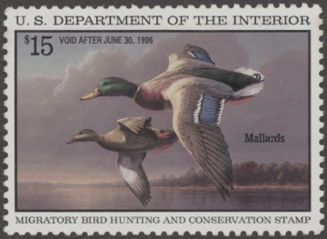 Picture of RW62 1995 Duck Stamp  MNH VF