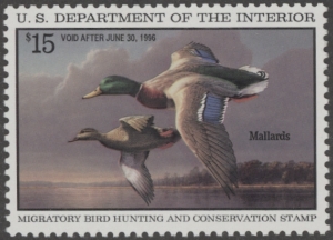 Scan of RW62 1995 Duck Stamp  MNH VF