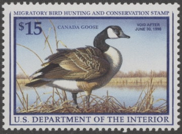 Picture of RW64 1997 Duck Stamp  MNH VF
