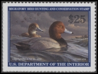 Scan of RW89 2022 Duck Stamp  MNH VF