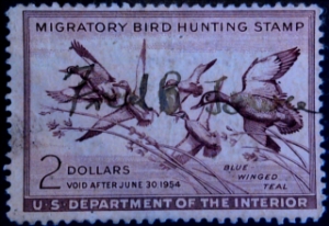 Scan of RW20 1953 Duck Stamp  Used F-VF