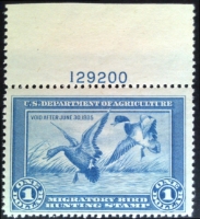 Scan of RW1 1934 Duck Stamp  MNH F-VF